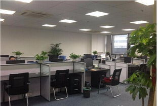 公司注冊(cè)與注銷(xiāo)及勞務(wù)相關(guān)資質(zhì)服務(wù)指南